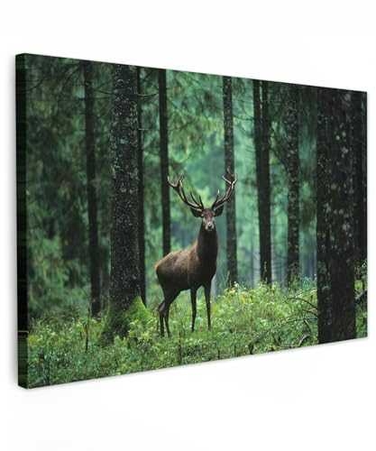 MuchoWow© Wandbilder Groß 120x80 cm XXL Schlafzimmer Home Deko Wohnung Bild Wohnzimmer Fotoleinwand Wand Bilder Leinwand Wall Decor Hirsch - Rotwild - Reh - Wald - Bäume - Tiere - Natur