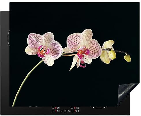 MuchoWow Herdabdeckplatte Ceranfeld Spritzschutz Küche Orchidee - Blumen - Schwarz - Rosa - Knöpfe 65x52 cm Induktionsherd Abdeckung Induktionskochfeld Ceranfeldabdeckung