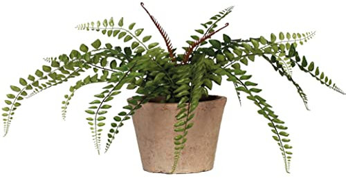 Blooming Artificial Plants Indoors in Pots, Faux Decorative Foliage, No Hassle, Easy Care, Perfect for Bringing Life to Indoor Spaces (Button Fern) (Green) (17cm)