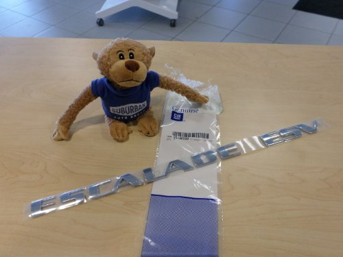 GM Original 93440569 Fahrzeug-Namensschild