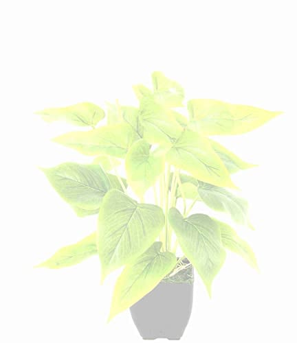 Flair Flower 020803R
