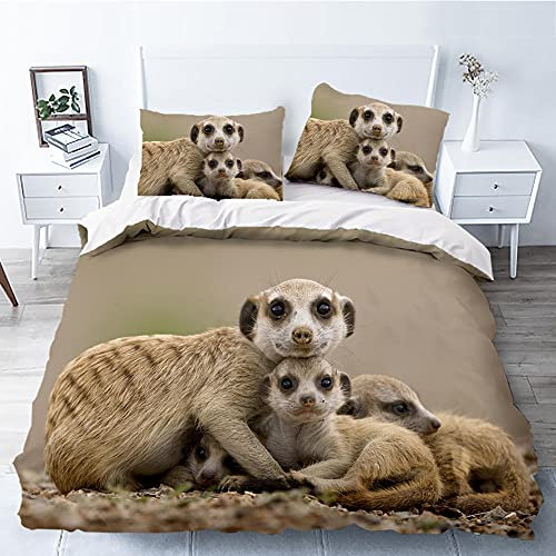 WQIZXCW Bettwäsche 155x220 Erdmännchen Bettbezug Set 120gsm Mikrofaser 2 Teilig - Super Weich Bettbezüge und Kissenbezug mit Reißverschluss