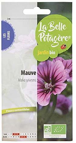 Graines à semer - Mauve - 1 g