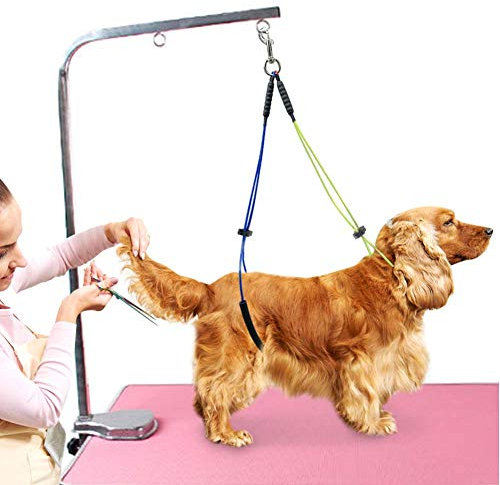Felenny Pet Grooming Table with Rope Leash, Neck & Haunch Holder, Belly Strap Set for Small/Medium Dogs