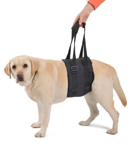 Ortocanis - Tragegurt, Hebegeschirr für Hunde mit Bewegungsproblemen, Hinterbeinunterstützung, Größe L