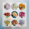 8 Pcs Reesien Zwiebeln Kaufen, Freesien Knollen, Winterharte Kübelpflanzen, Blumen Für Balkon Freesien Zwiebeln Winterhart - Freesia Hybrida - Blumen Winterhart, Bienenfreund Blumenzwiebeln