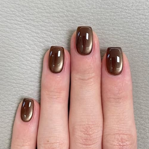 Viugex 24 Pièces Œil de Chat Marron Faux Ongles, Français Carrés Court Press on Nails, Naturel Acrylique Couverture Complète Ongles à Coller, Réutilisables Faux Ongles Autocollants pour Femmes Filles