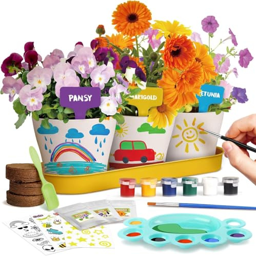 Dr. Daz Malen Pflanzen Kinder, Blumen Bonsai Pflanzen Züchten, Gartenset für Mädchen und Jungen, Set Experimentierkasten Ab 4 5 6 7 8 9 10 Jahre Mädchen