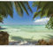 Wallpaper - Wall Mural Beach & Sea 250x175 cm / 98.4 x 68.9 Non-Woven Premium Art Print Fleece Wall Mural Decoration Poster Picture Design Modern Nature Sea Ocean Palm Tree Tropical c-A-0055-a-a