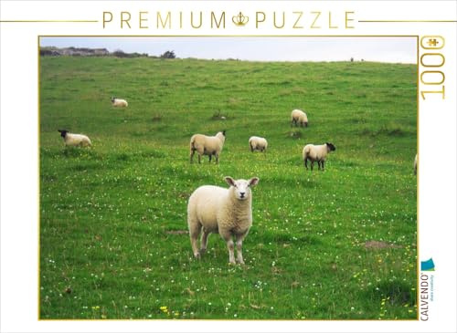 CALVENDO Puzzle Schafe | 1000 Teile Lege-Größe 64 x 48 cm Foto-Puzzle für glückliche Stunden