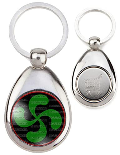 Badgmania Porte Clés Métal Goutte Jeton de Caddie Croix Basque Verte fond Noir Rouge Pays Basque Euskadi Euskara Symbole 64 Biarritz