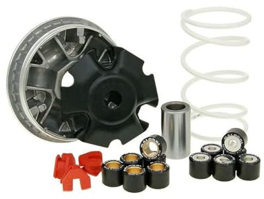 Variomatik MALOSSI Muvar 2000 X9 125 4T LC | Leader 125-150cc; Gewichte 9,5/14 g 20x17 mm, weiße Gegendruckfeder; kompatibel mit VESPA GT 125, APRILIA Atlantic 125 4T LC