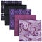 Shlax&Wing 5 Pieces Assorted Fazzoletto da uomo Fazzoletto Set