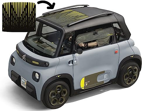 AMI-GO.CLUB Rocks-e oder Ami Tonic Dachabdeckung