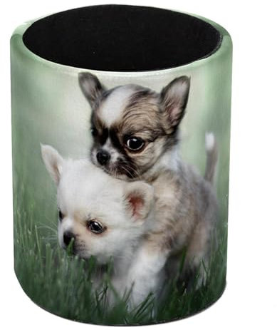 FJAUOQ Pot à crayons en cuir pour chihuahua - Organisateur de crayons en cuir - Multifonctionnel - Fournitures de bureau pour la maison et l'école