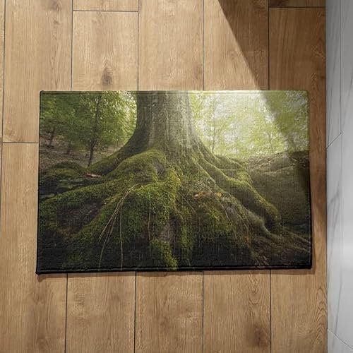 EHOMERY Schmutzfangmatte Camping Fussmatte Aussen Bunt Gross Wurzel Fußmatte Innen Groß Dusch Fussmatte Zum Füsse Waschen 50x80cm,