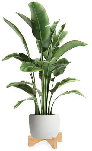 Lollanda Wooden Plant Stand 9.92in, Wood Flower Pot Stand Bamboo, Wood Planter Rack Flower Pot Holder Plant Shelf (25CM)