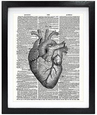 Susie Arts V008 Kunstdruck, ungerahmt, anatomisches Herz, Upcycling-Vintage-Wörterbuch-Kunstdruck, Buch-Kunstdruck, Heimdekoration, Wandkunst, 20,3 x 25,4 cm