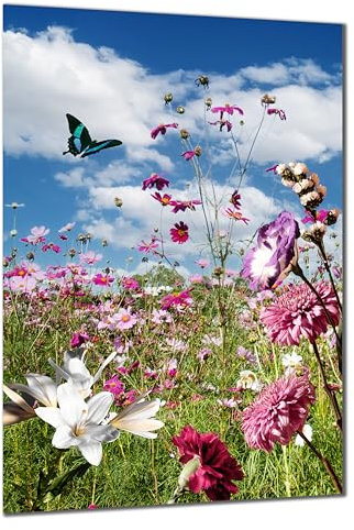 DARO Design - Wand-Bild auf 6mm HDF 84x56 cm Blumenwiese Schmetterling rosa - Wand-Deko Bilder Geschenk