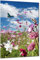 DARO Design - Wand-Bild auf 6mm HDF 84x56 cm Blumenwiese Schmetterling rosa - Wand-Deko Bilder Geschenk
