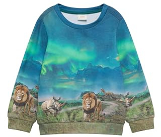 s.Oliver Sweatshirt mit All-Over-Print