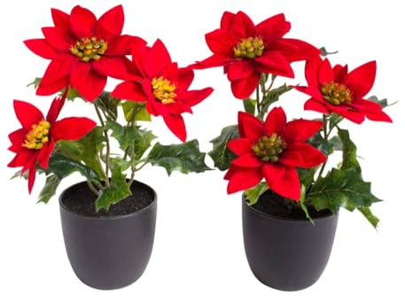 Botanic-Haus künstliche Mini Poinsettie/Weihnachtsstern/Christstern mit 3 Blüten im schwarzen Kunststofftopf Farbe: rot (2 Stück)