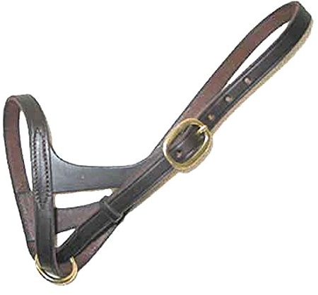 Intrepid International Leder Fohlen Slip Halfter