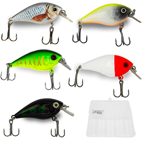 Zite Fishing Wobbler-Set - 5 Crank-Bait Kunst-Köder Barsch Hecht Zander 7g 5,5cm mit Rassel-Kugel in Köder-Box