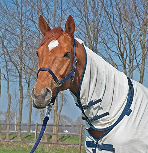 BUSSE PADDOCK-Fliegendecke ANTI-FLY Bauchlatz, Rückenlänge 135 cm, sand