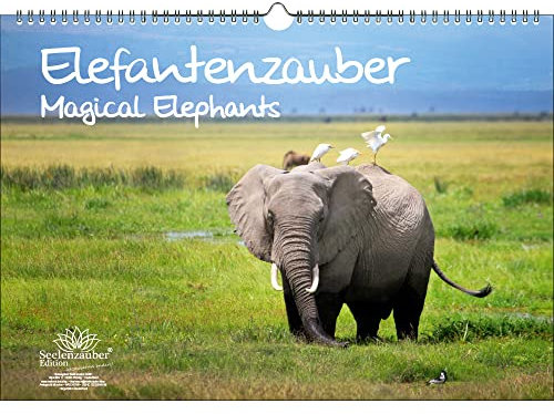 Elefantenzauber DIN A3 Immerwährender Kalender Elefanten - Seelenzauber