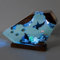 Drawelry 3D Ozean Nachtlicht Harz Ornamente mit Holz Sockel Fernbedienung Marine Tauchen Statue Dekoration Mehrfarbige Variable LED Tisch Lampe für Wohnzimmer Schlafzimmer Kinderzimmer Dekor (B9, M)