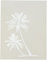 Stencil1 21,6 x 27,9 cm Schablone Palmen, Acryl, Mehrfarbig