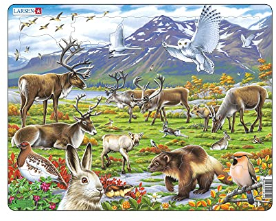 Larsen FH14 Flora und Fauna der Arktischen Tundra, Rahmenpuzzle für Kinder ab 4 Jahren, 50 Teile Lernpuzzle, Naturpuzzle, stabiles Kinderpuzzle aus Karton