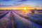 Muralo Fototapete Landschaft 150 x 225 cm Vlies Tapete Wandtapeten Lavendel Feld Himmel Wohnzimmer Schlafzimmer Moderne Wandbilder XXL Natur Panorama Wand Dekoration