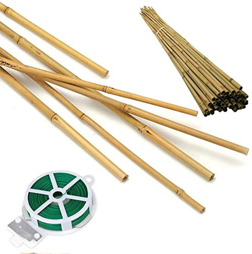 Bambus-Pflanzstäbe für Holzgarten, Pflanzenstützen, Bambus, Bambus-Spalier, Handwerk, mehr Größen zur Auswahl: 20,3 cm, 30,5 cm, 40,6 cm, 50 Stück