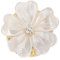 WESIEVYA Broche Fleur Magnétique Épingle Aesthetic pour Vêtements et Accessoires Broche Naturel pour Écharpes et Chapeaux