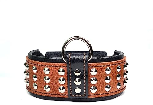 Bestia Star Hundehalsband mit Nieten und Innenpolsterung 6,5 cm Breit