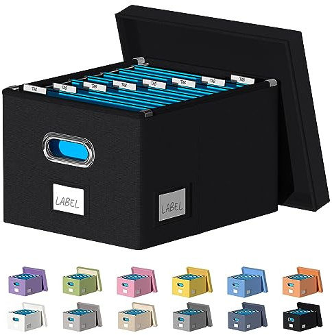 DYWMM Collapsible Storage Box with Lids Document Organizer for Office and Home - Easy Slide, Durable Hanging File Box (Black)