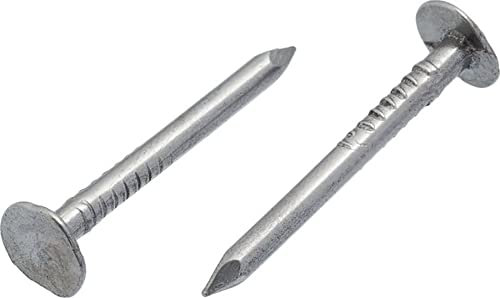 3mm x 30mm Galvanised Roof Nails Large Head Felt Clout Bright Finish Felt Tacks (Pack of 100)