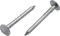 3mm x 30mm Galvanised Roof Nails Large Head Felt Clout Bright Finish Felt Tacks (Pack of 100)