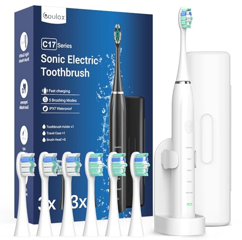 Cepillo de dientes eléctrico para adultos - Cepillo de dientes sónico con 6 cabezales de cepillo, una carga de 60 días, 5 modos con temporizador de 2 minutos, cepillos de dientes eléctricos Sonic