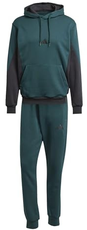 adidas Men's SPORTSWEAR 300G FLEECE COLORBLOCK HOODED TRACKSUIT, aurora ivy/black, L