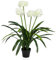 hjh OFFICE Kunstblume im Topf 100cm AGAPANTHUS Kunstpflanze Zimmerpflanze, Künstliche Lilie Pflanze Blume Deko