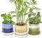 Chive Keramik Pflanztöpfe 'Minute' - Niedliche, schöne Töpfe für Blumen & Zimmerpflanzen Indoor & Outdoor - 3er Set - Blau, Grün & Gelb