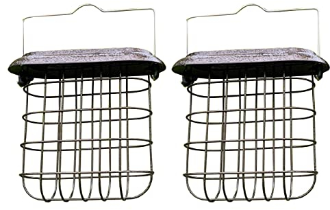 Selections Hanging Suet Cake Block Bird Feeder - Pack of 2