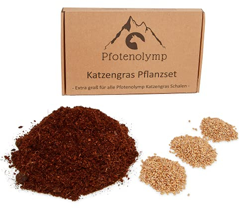 Pfotenolymp® XXL Katzengras Nachpflanzset - Weizengras Samen und Erde - passend für Katzengrasschale aus Porzellan und Bambus - cat Gras/Topf Set - DIY