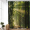 ASDCXZ Rideau de Douche Forêt 180x220 cm, Paysage Naturel Forêt Verte Soleil imperméable Textile Rideau Douche Tissu Lavable pour Baignoire avec 12 Crochets