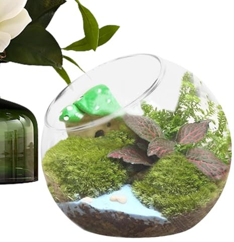 Yianyal Fischglasvase, runder Fischglas-Blumentopf | Querformat, Glasvase, schräge Öffnung, Heimdekoration, Mittelstück für Sukkulenten und mehr