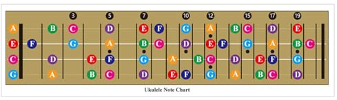 Ukulele Akkord Diagramm Anleitungsposter Ukulele Griffbrett Notentabelle Griffdiagramm Akkord Poster Für Erwachsene Und Kinder Ukulele Akkord Poster