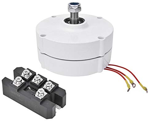 Synchronmotor, 12 V 100 W Windkraftanlage, Permanentmagnet Generator, 3 Phasen Synchrongenerator NE-100 für Haust Industriellen Einsatz(Generator + Rectifier)